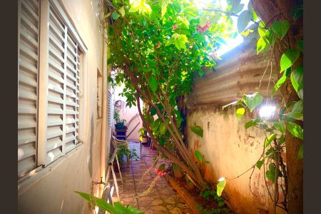Casa para alugar com 45m², 1 quarto e sem vaga