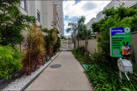 Apartamento para alugar com 38m², 1 quarto e 1 vagaÁrea comum