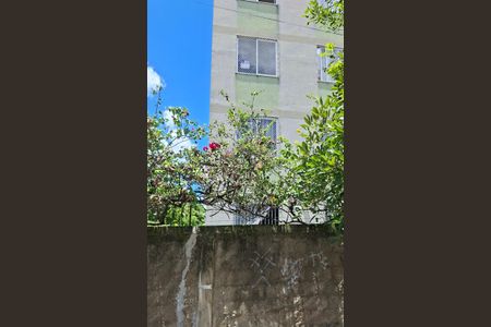 Apartamento para alugar com 74m², 3 quartos e 1 vaga Apartamento para alugar com 74m², 3 quartos e 1 vagafachada / plaquinha: fesw 70