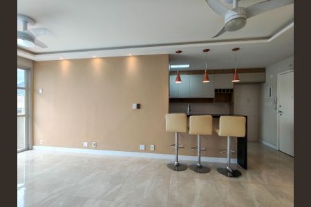 Sala de apartamento para alugar com 2 quartos, 90m² em Maracanã, Rio de Janeiro