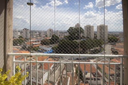 Apartamento para alugar com 65m², 3 quartos e 1 vagaVista 