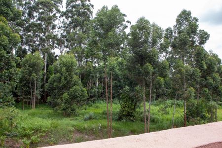 Apartamento à venda com 115m², 2 quartos e 1 vaga Apartamento à venda com 115m², 2 quartos e 1 vagaQuintal vista