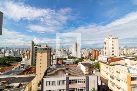 Apartamento à venda com 5 quartos, 333m² em Santo Antônio, Belo Horizonte
