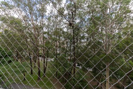 Vista da Varanda da Sala de apartamento para alugar com 3 quartos, 56m² em Jardim Santa Emilia, São Paulo