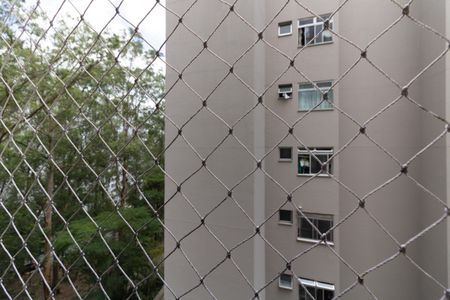 Apartamento para alugar com 56m², 3 quartos e 1 vagaVista do Quarto 3