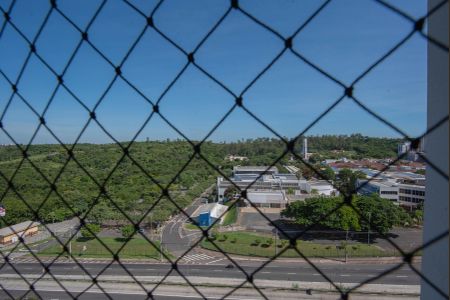 Vista do Quarto 1 de apartamento para alugar com 2 quartos, 38m² em Residencial Parque da Fazenda, Campinas