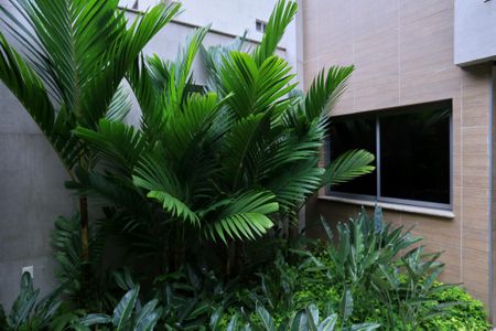 Apartamento para alugar com 70m², 2 quartos e 2 vagas Apartamento para alugar com 70m², 2 quartos e 2 vagasEntrada