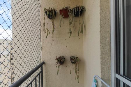 Apartamento à venda com 2 quartos, 47m² em Vila Mendes, São Paulo