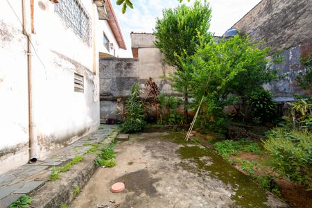 Casa para alugar com 300m², 3 quartos e 2 vagasAREA EXTERNA