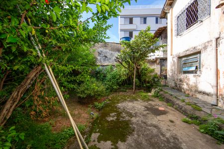 Casa para alugar com 300m², 3 quartos e 2 vagasAREA EXTERNA