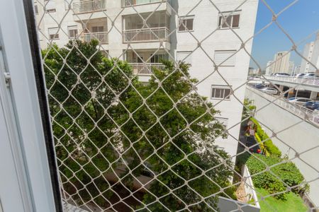 Apartamento à venda com 81m², 3 quartos e 1 vagaVista do Quarto Suíte