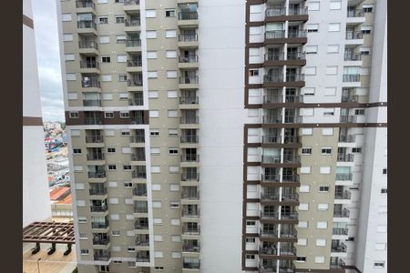 Vista da Varanda de apartamento para alugar com 1 quarto, 45m² em Vila Sonia, São Paulo