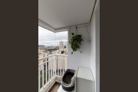 Apartamento para alugar com 52m², 2 quartos e 1 vaga Apartamento para alugar com 52m², 2 quartos e 1 vagaVaranda da Sala