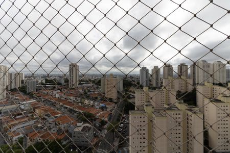 Vista da Varanda da Sala de apartamento para alugar com 2 quartos, 52m² em Vila Moraes, São Paulo