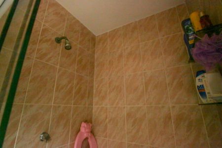 Casa à venda com 440m², 6 quartos e 4 vagasBanheiro da Piscina