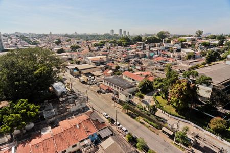 Vista de apartamento para alugar com 2 quartos, 28m² em Jardim Jaragua (sao Domingos), São Paulo