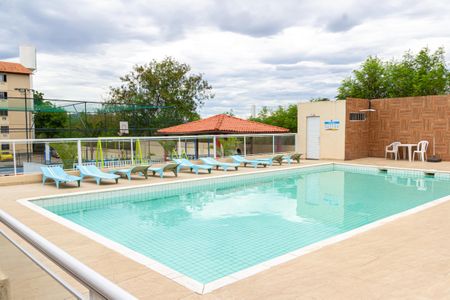 Apartamento para alugar com 55m², 2 quartos e 1 vaga Apartamento para alugar com 55m², 2 quartos e 1 vagaÁrea comum - Piscina