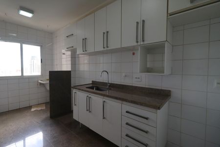 Cozinha de apartamento para alugar com 3 quartos, 90m² em Jardim Botânico, Ribeirão Preto