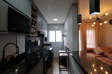 Cozinha de apartamento para alugar com 2 quartos, 49m² em Jardim Nova Alianca, Ribeirão Preto
