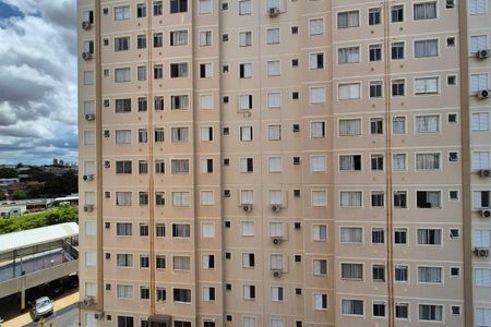 Vista do Quarto 1  de apartamento para alugar com 2 quartos, 43m² em Parque Industrial, Campinas