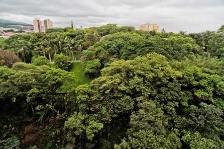 Vista de apartamento para alugar com 2 quartos, 40m² em Vila Barreto, São Paulo
