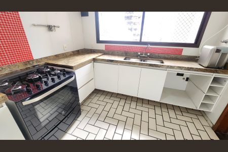 Apartamento para alugar com 280m², 3 quartos e 2 vagasDetalhe da cozinha