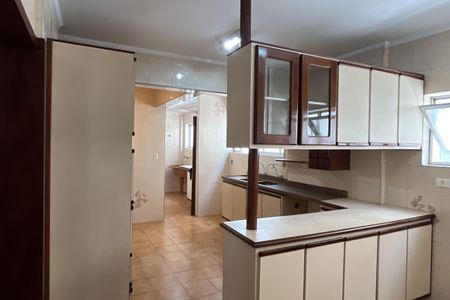 Apartamento para alugar com 186m², 3 quartos e 1 vagaCozinha