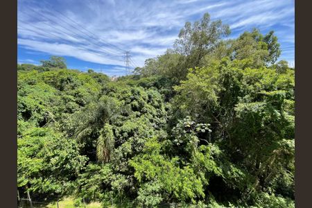 Vista da Sala de apartamento para alugar com 2 quartos, 32m² em Jardim Celeste, São Paulo
