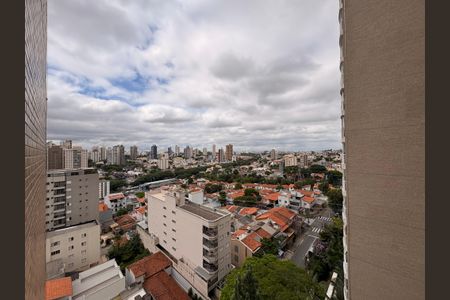 Apartamento à venda com 135m², 3 quartos e 3 vagasVisita da suíte 2