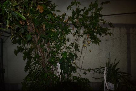 Vista da Quarto 1 de casa para alugar com 2 quartos, 70m² em Vila Valqueire, Rio de Janeiro