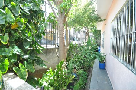 Casa à venda com 297m², 6 quartos e 4 vagasQuintal