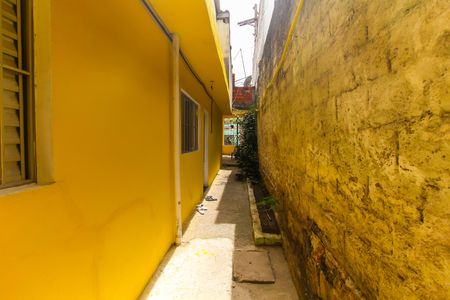 Casa para alugar com 20m², 1 quarto e sem vagaQuintal