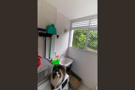 Apartamento à venda com 60m², 2 quartos e 1 vagaCozinha e Área de Serviço