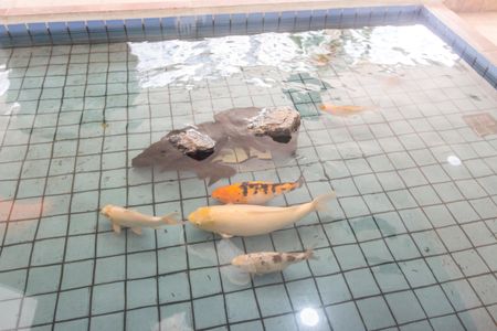 Apartamento à venda com 70m², 2 quartos e 1 vagaDetalhe