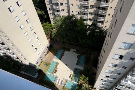 Vista da Sala de apartamento para alugar com 2 quartos, 52m² em Morro Nova Cintra, Santos