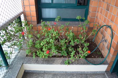 Apartamento para alugar com 289m², 5 quartos e 3 vagasSacada