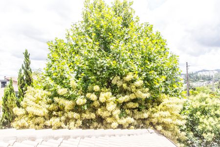 Casa de condomínio para alugar com 650m², 6 quartos e 6 vagasVista da Suíte