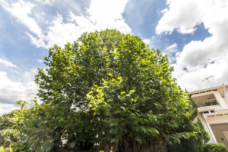 Casa de condomínio para alugar com 650m², 6 quartos e 6 vagasVista da Rua