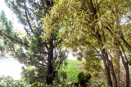 Casa de condomínio para alugar com 650m², 6 quartos e 6 vagasVista