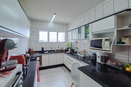 Apartamento à venda com 380m², 4 quartos e 3 vagasCozinha - Armários