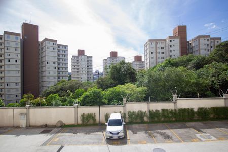 Vista da Sala de apartamento para alugar com 2 quartos, 44m² em Jardim Iris, São Paulo