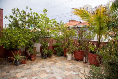 Casa para alugar com 179m², 3 quartos e 2 vagasQuintal