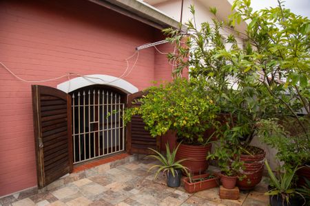 Casa para alugar com 179m², 3 quartos e 2 vagasQuintal