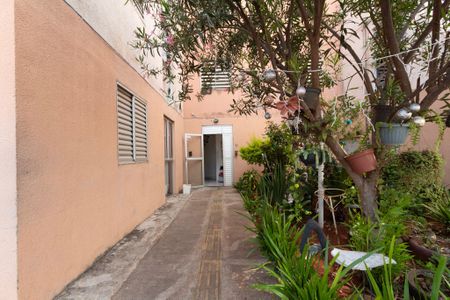 Apartamento para alugar com 50m², 2 quartos e 1 vagaÁrea comum