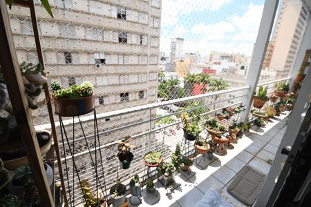 Sala - Sacada de apartamento para alugar com 1 quarto, 65m² em Centro, Campinas