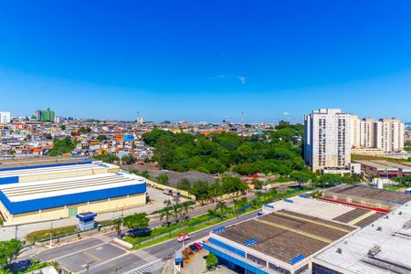 Vista de apartamento para alugar com 2 quartos, 53m² em Parque São Lourenço, São Paulo