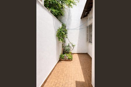 Área externa de casa à venda com 3 quartos, 147m² em Cambuci, São Paulo