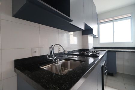 Cozinha de apartamento para alugar com 2 quartos, 44m² em Vila Guiomar, Ribeirão Preto