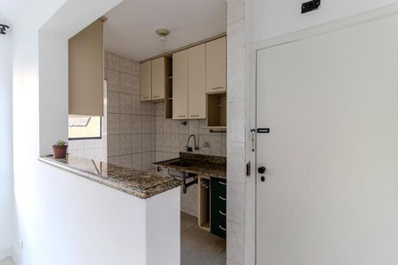 Apartamento para alugar com 49m², 1 quarto e 1 vagaCozinha