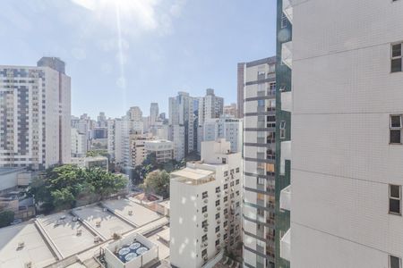 Vista do Quarto 2 de apartamento para alugar com 3 quartos, 137m² em Lourdes, Belo Horizonte